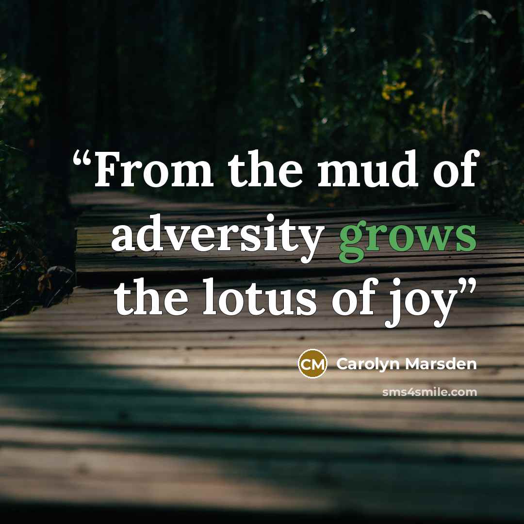 “From the mud of adversity grows the lotus of joy” quote by Carolyn Marsden