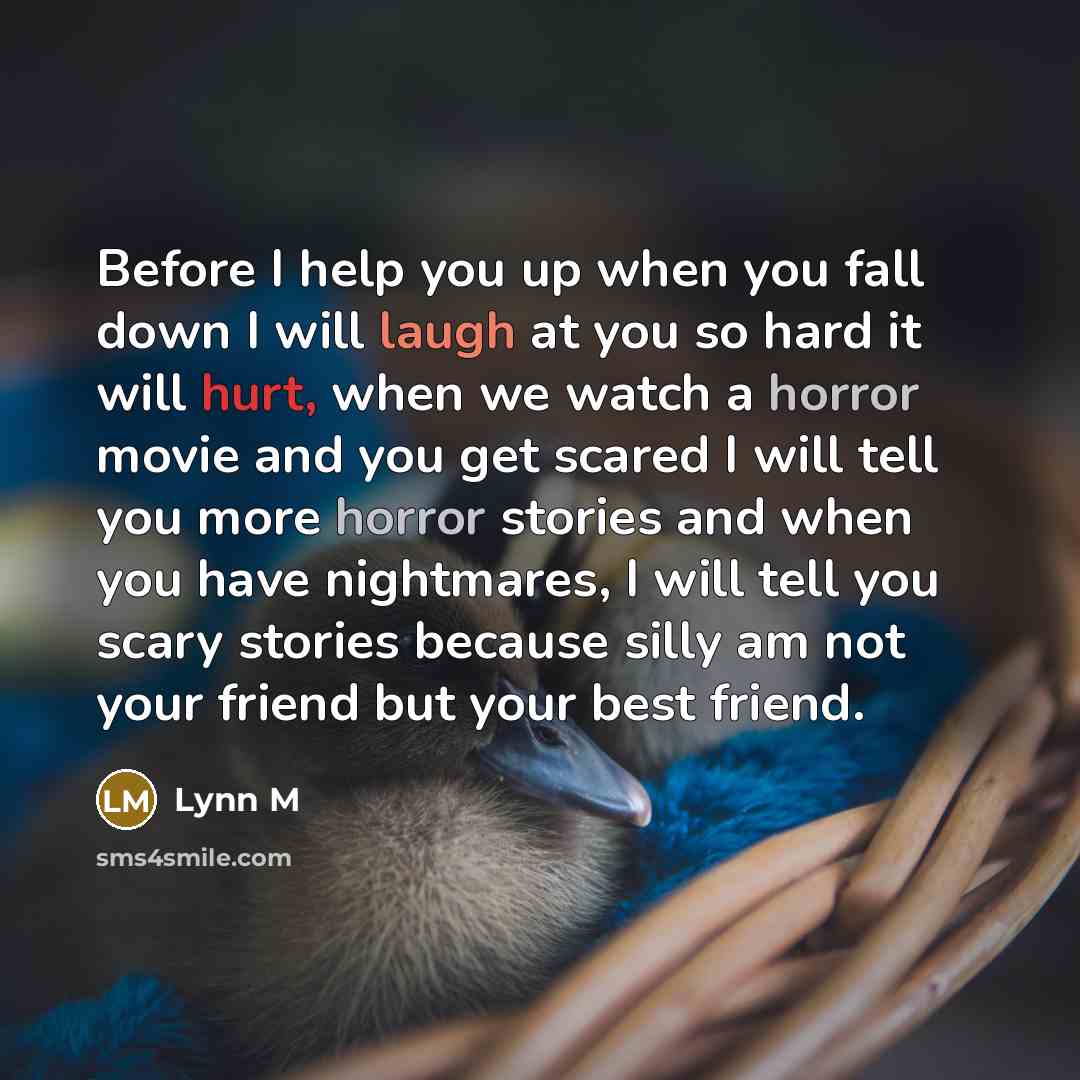 “Before I help you up when you fall down I will laugh at you so hard it will hurt, when we watch a horror movie and you get scared I will tell you more horror stories and when you have nightmares, I will tell you scary stories because silly am not your friend but your best friend.” quote by Lynn M