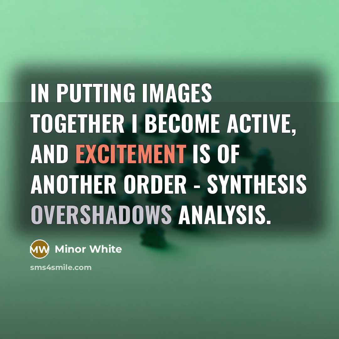 “In putting images together I become active, and excitement is of another order - synthesis overshadows analysis.” quote by Minor White