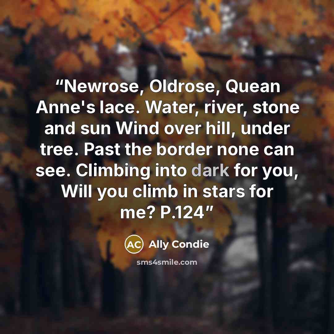 “Newrose, Oldrose, Quean Anne's lace. Water, river, stone and sun Wind over hill, under tree. Past the border none can see. Climbing into dark for you, Will you climb in stars for me? P.124” quote by Ally Condie