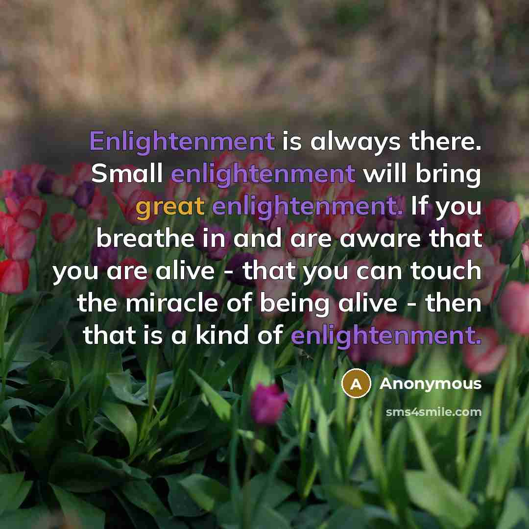 “Enlightenment is always there. Small enlightenment will bring great enlightenment. If you breathe in and are aware that you are alive - that you can touch the miracle of being alive - then that is a kind of enlightenment.” quote by Anonymous