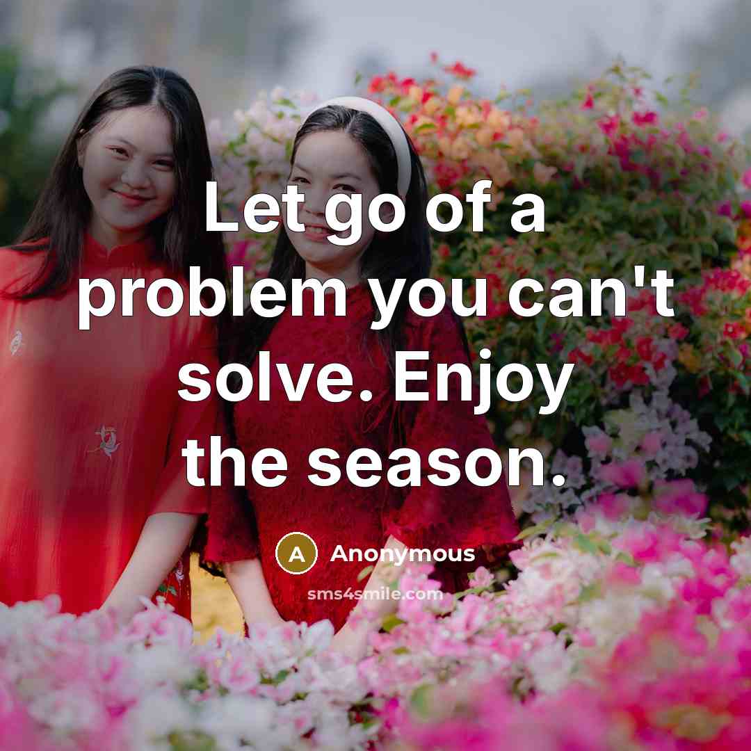 “Let go of a problem you can't solve. Enjoy the season.” quote by Anonymous