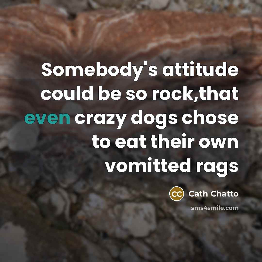 “Somebody's attitude could be so rock,that even crazy dogs chose to eat their own vomitted rags” quote by Cath Chatto