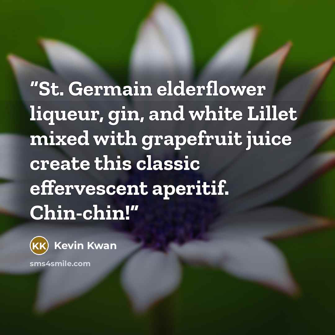 “St. Germain elderflower liqueur, gin, and white Lillet mixed with grapefruit juice create this classic effervescent aperitif. Chin-chin!” quote by Kevin Kwan