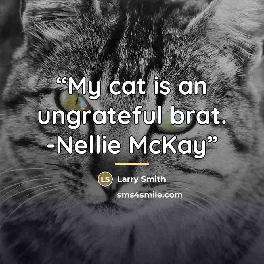 “My cat is an ungrateful brat. -Nellie McKay” quote by Larry Smith