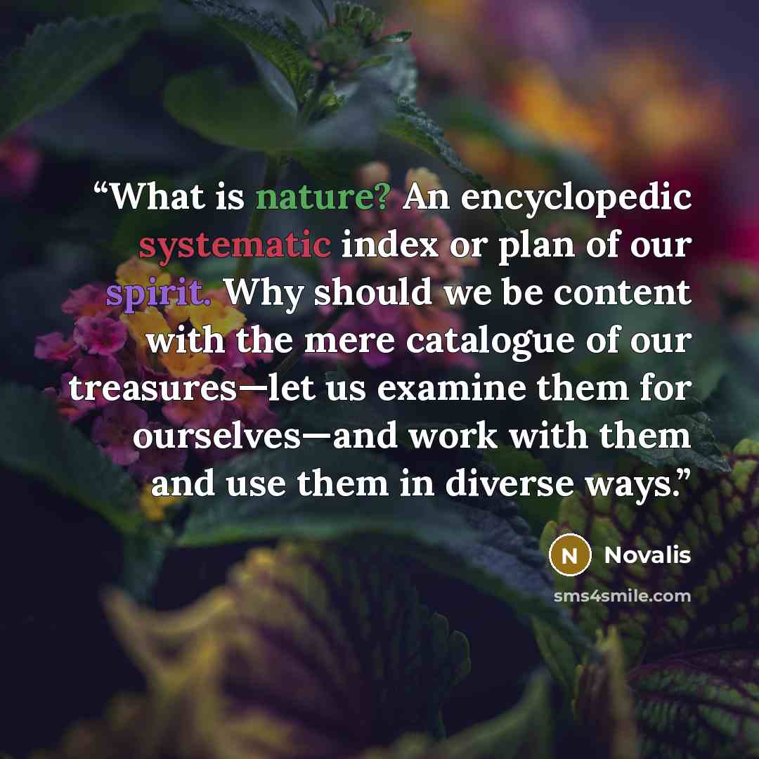 “What is nature? An encyclopedic systematic index or plan of our spirit. Why should we be content with the mere catalogue of our treasures—let us examine them for ourselves—and work with them and use them in diverse ways.” quote by Novalis