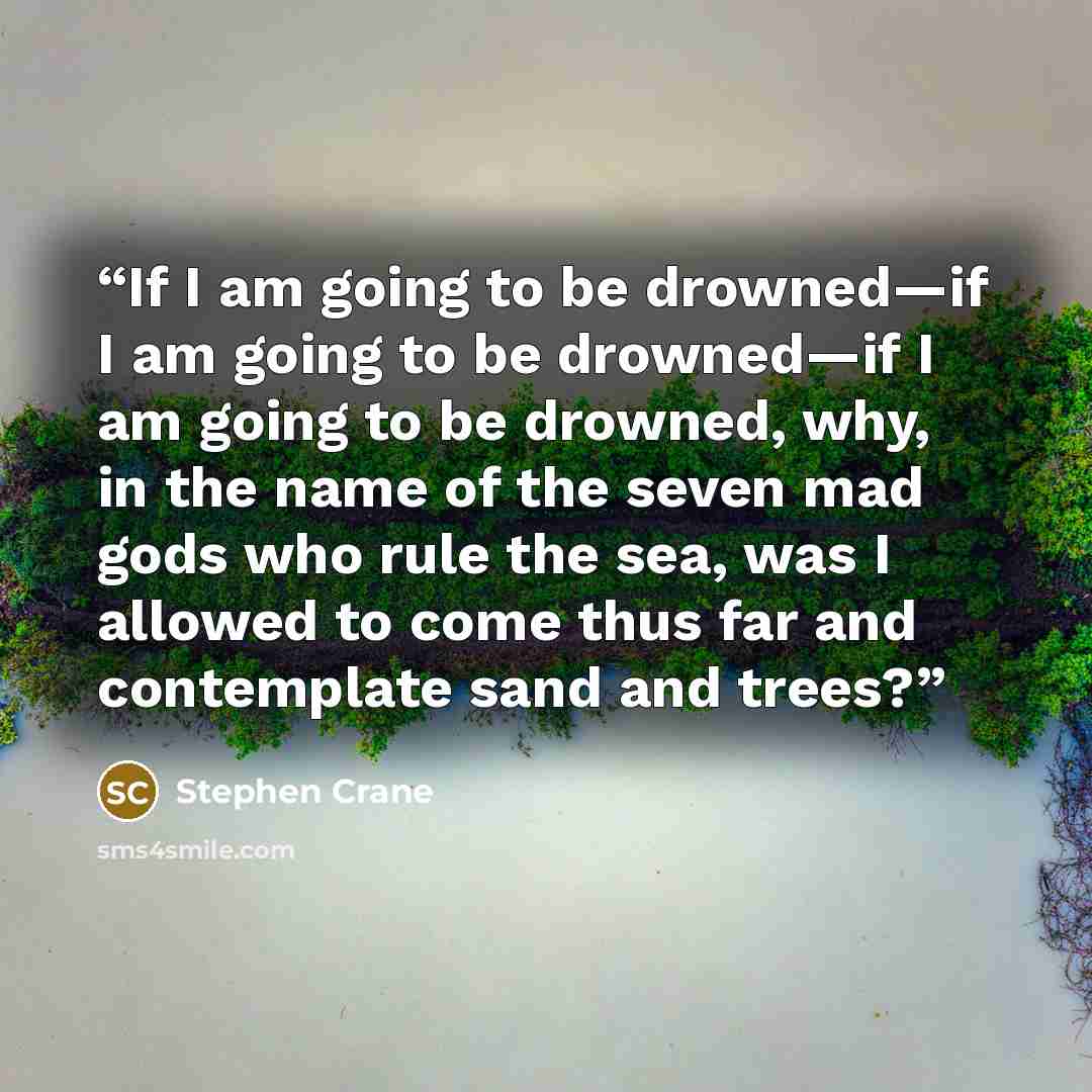 “If I am going to be drowned—if I am going to be drowned—if I am going to be drowned, why, in the name of the seven mad gods who rule the sea, was I allowed to come thus far and contemplate sand and trees?” quote by Stephen Crane