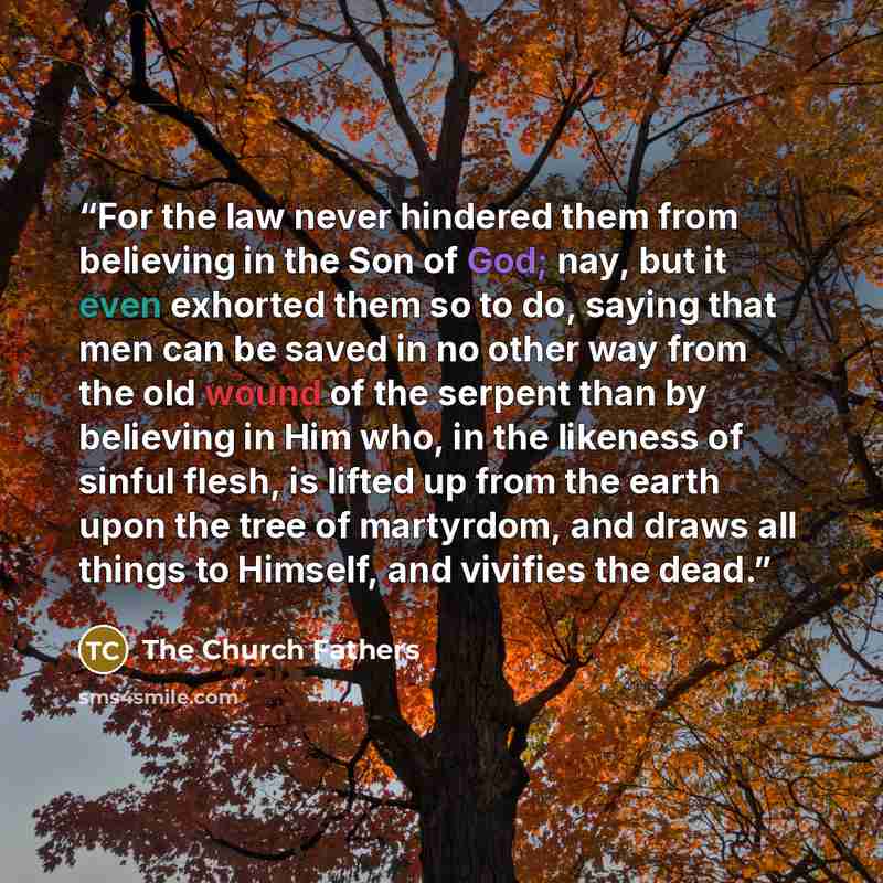 “For the law never hindered them from believing in the Son of God; nay, but it even exhorted them so to do, saying that men can be saved in no other way from the old wound of the serpent than by believing in Him who, in the likeness of sinful flesh, is lifted up from the earth upon the tree of…” quote by The Church Fathers
