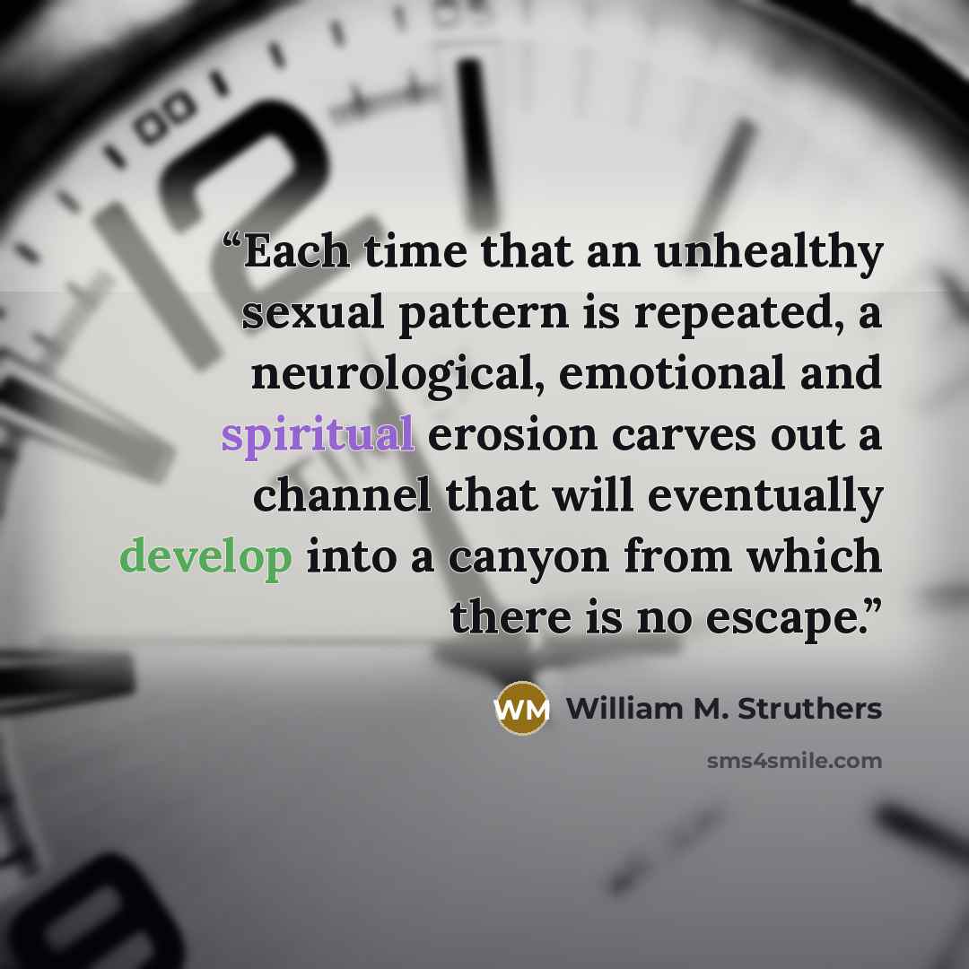 “Each time that an unhealthy sexual pattern is repeated, a neurological, emotional and spiritual erosion carves out a channel that will eventually develop into a canyon from which there is no escape.” quote by William M. Struthers