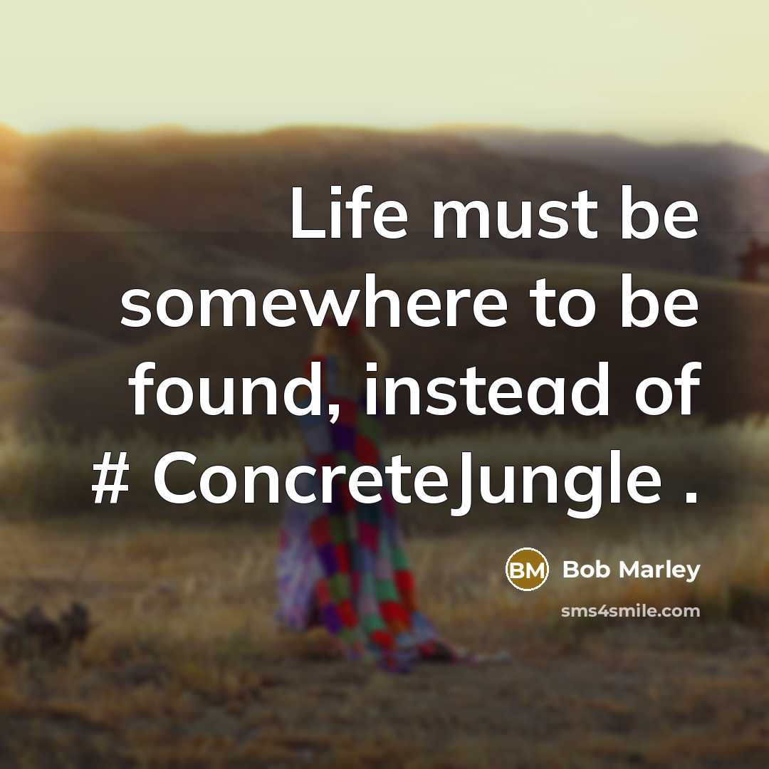 “Life must be somewhere to be found, instead of #‎ ConcreteJungle .” quote by Bob Marley