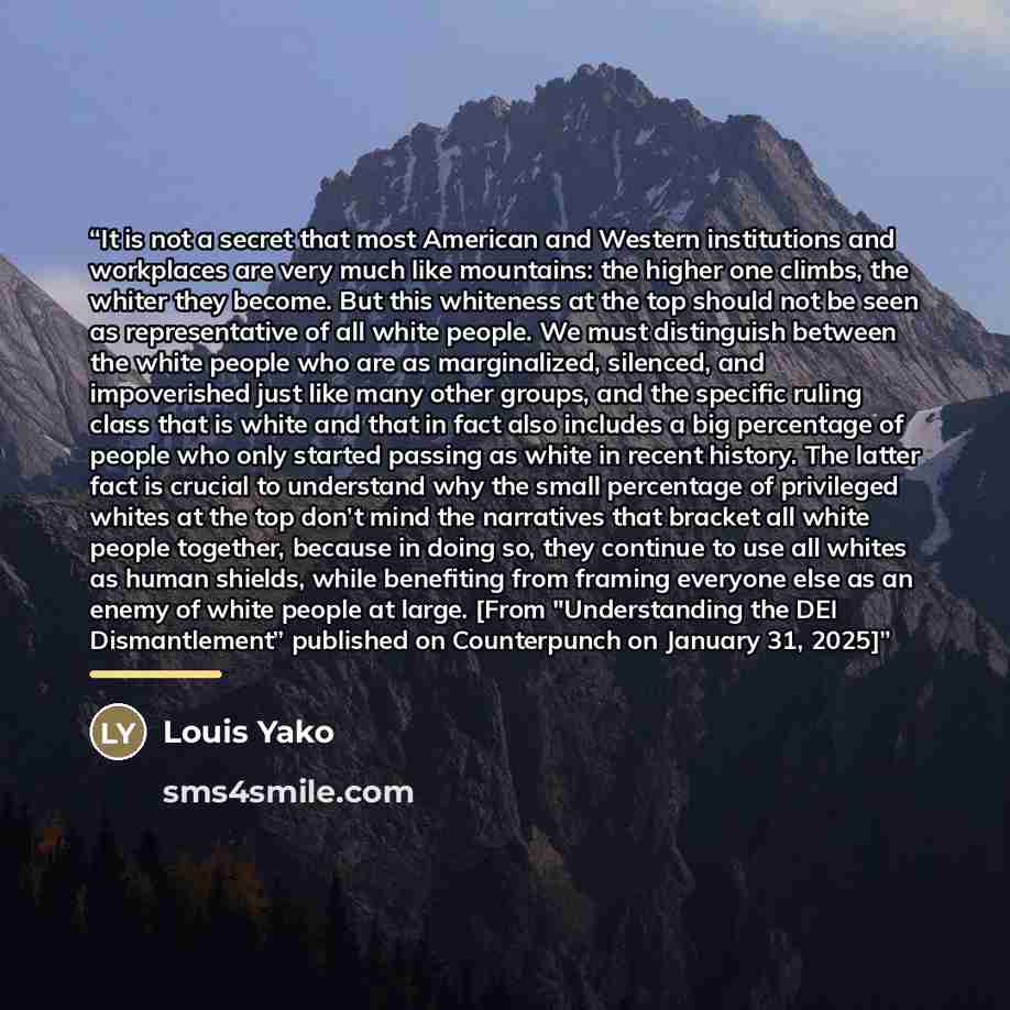 “It is not a secret that most American and Western institutions and workplaces are very much like mountains: the higher one climbs, the whiter they become. But this whiteness at the top should not be seen as representative of all white people. We must distinguish between the white people who are as…” quote by Louis Yako
