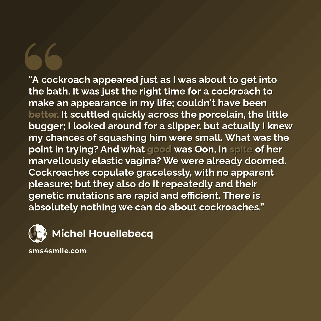 “A cockroach appeared just as I was about to get into the bath. It was just the right time for a cockroach to make an appearance in my life; couldn't have been better. It scuttled quickly across the porcelain, the little bugger; I looked around for a slipper, but actually I knew my chances of…” quote by Michel Houellebecq