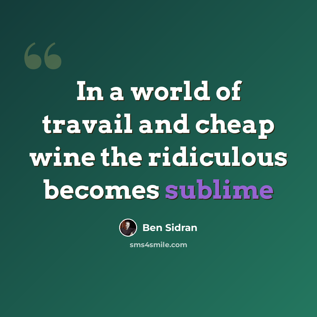 “In a world of travail and cheap wine the ridiculous becomes sublime” quote by Ben Sidran