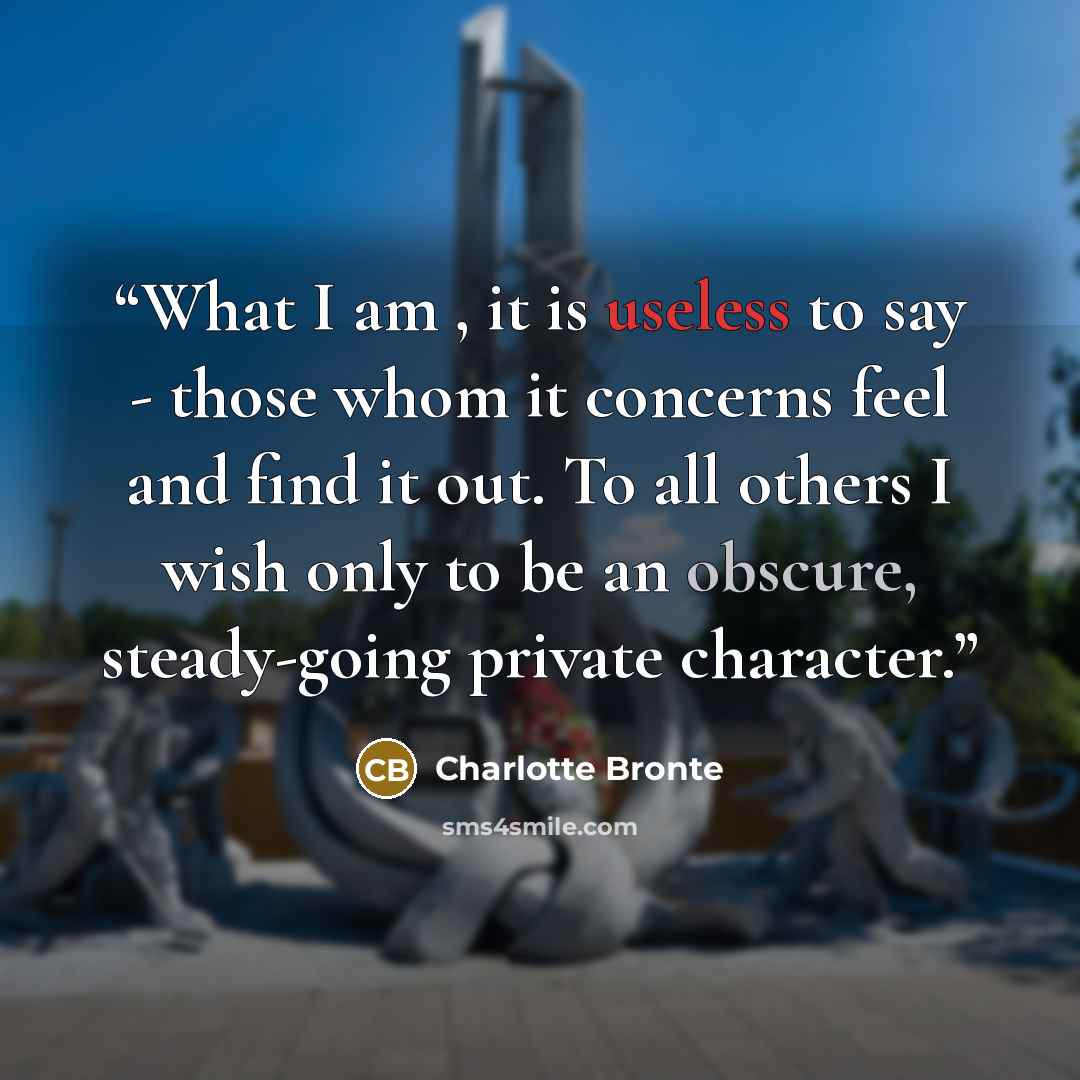 “What I am , it is useless to say - those whom it concerns feel and find it out. To all others I wish only to be an obscure, steady-going private character.” quote by Charlotte Brontë