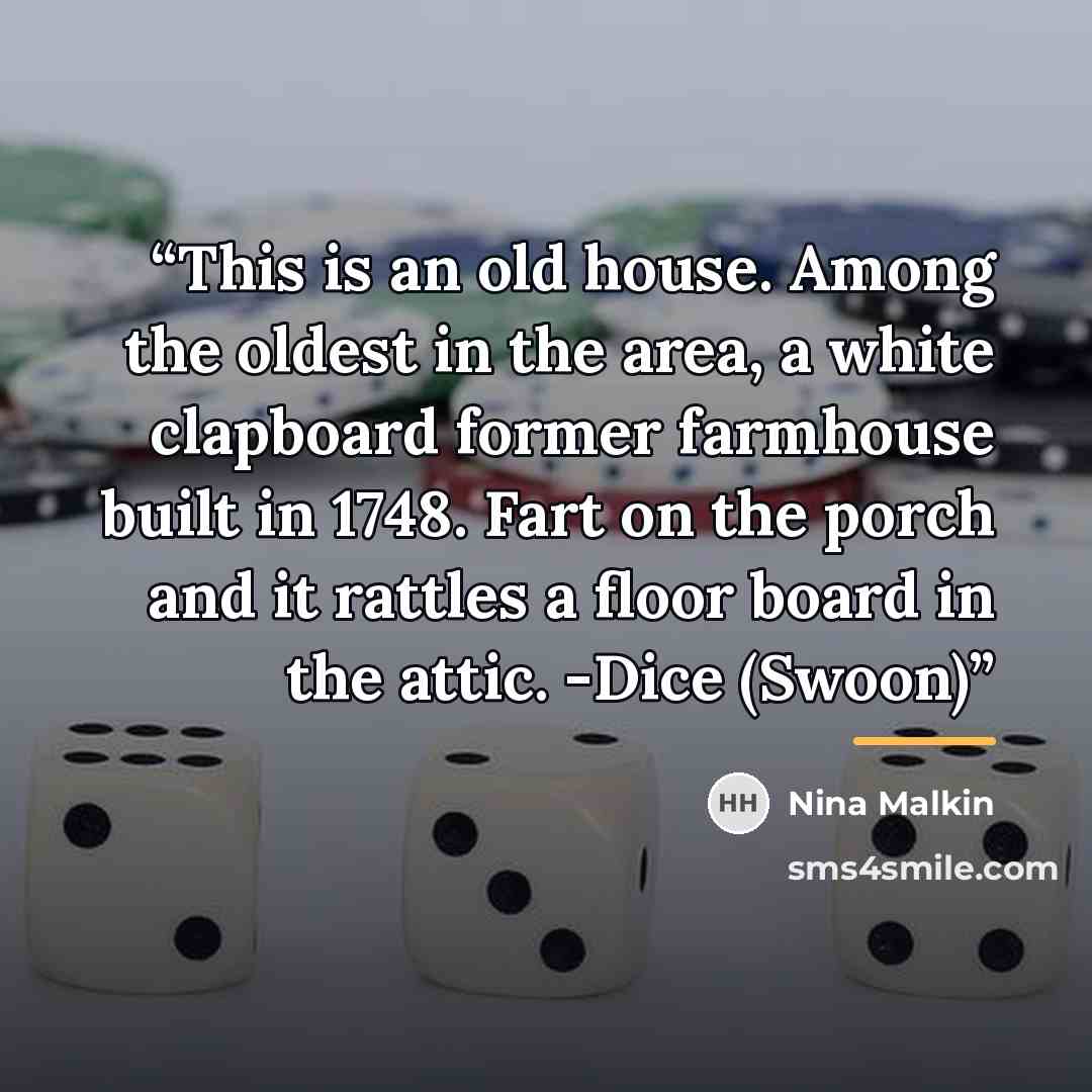 “This is an old house. Among the oldest in the area, a white clapboard former farmhouse built in 1748. Fart on the porch and it rattles a floor board in the attic. -Dice (Swoon)” quote by Nina Malkin