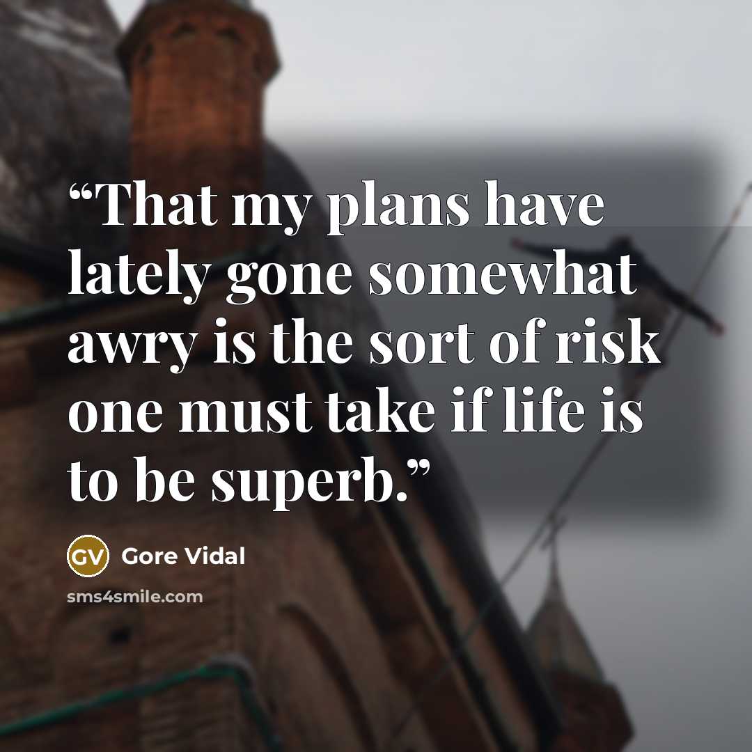 “That my plans have lately gone somewhat awry is the sort of risk one must take if life is to be superb.” quote by Gore Vidal