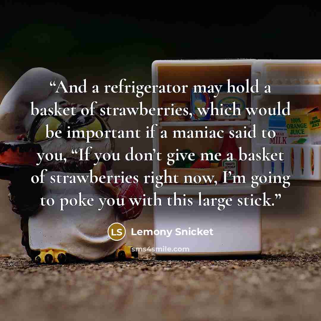 “And a refrigerator may hold a basket of strawberries, which would be important if a maniac said to you, “If you don’t give me a basket of strawberries right now, I’m going to poke you with this large stick.” quote by Lemony Snicket