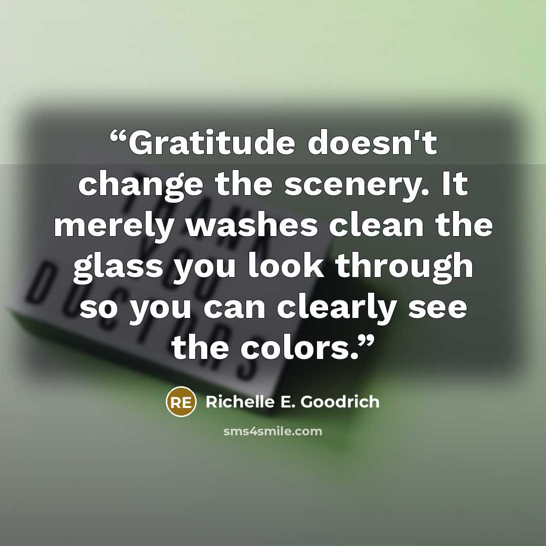“Gratitude doesn't change the scenery. It merely washes clean the glass you look through so you can clearly see the colors.” quote by Richelle E. Goodrich