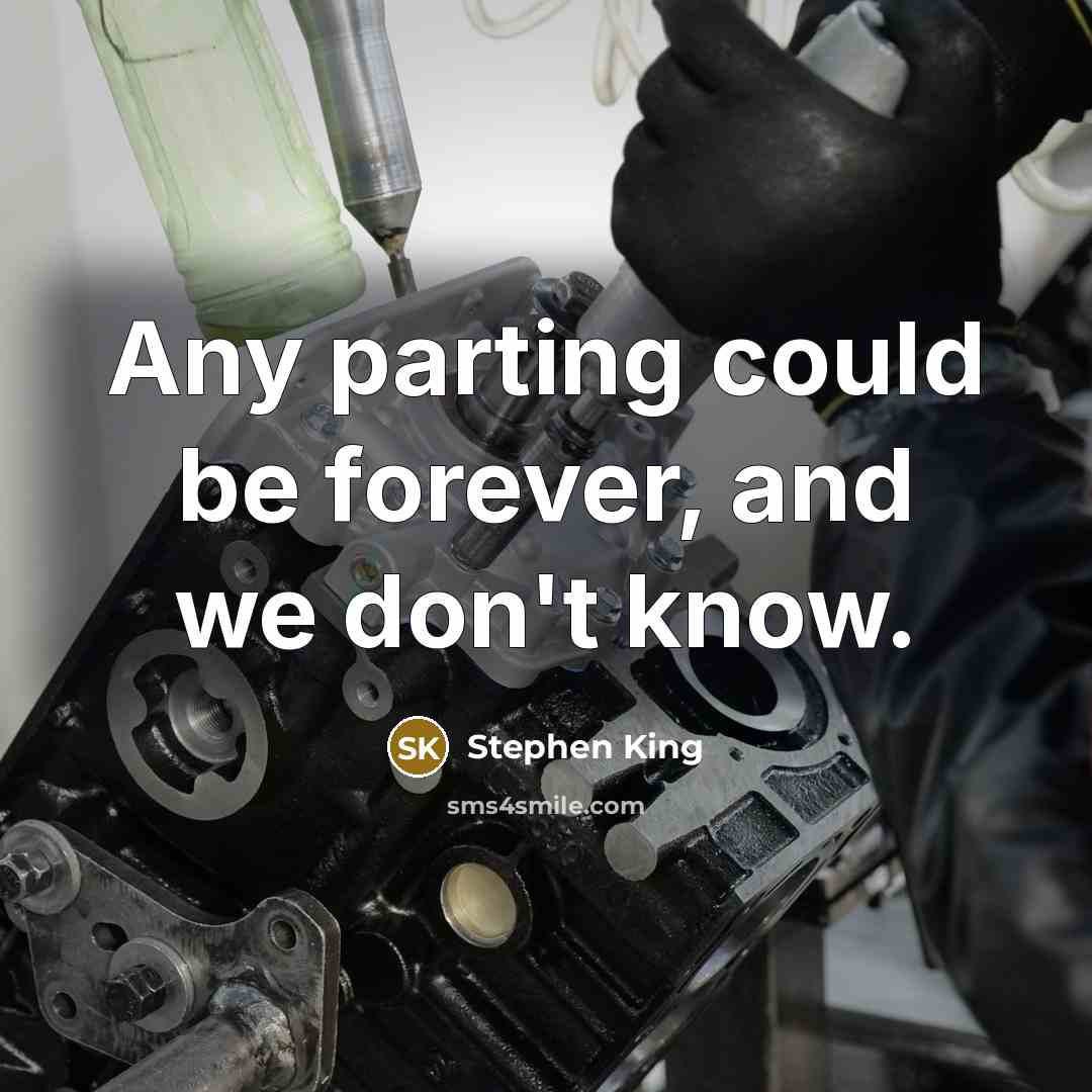 “Any parting could be forever, and we don't know.” quote by Stephen King