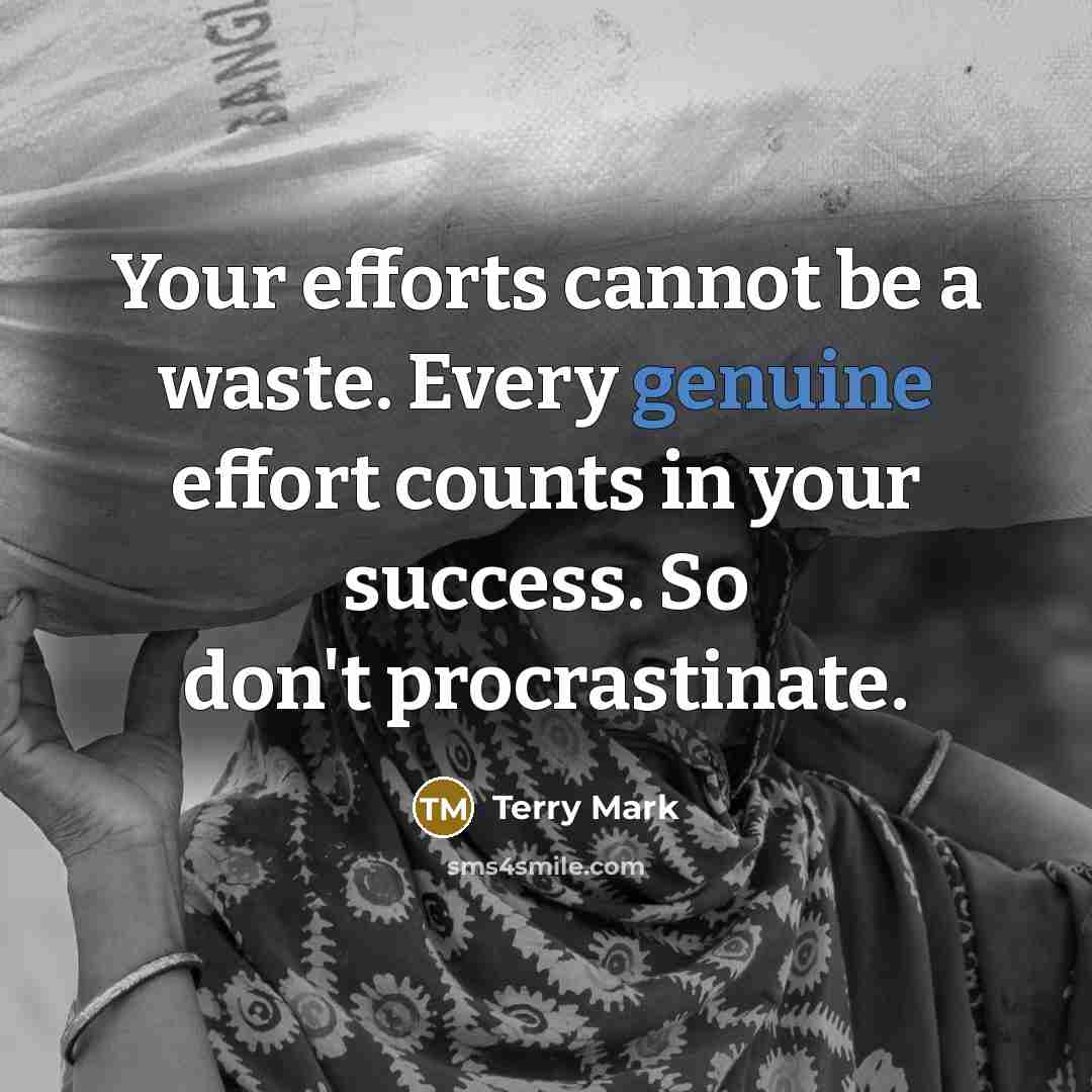 “Your efforts cannot be a waste. Every genuine effort counts in your success. So don't procrastinate.” quote by Terry Mark