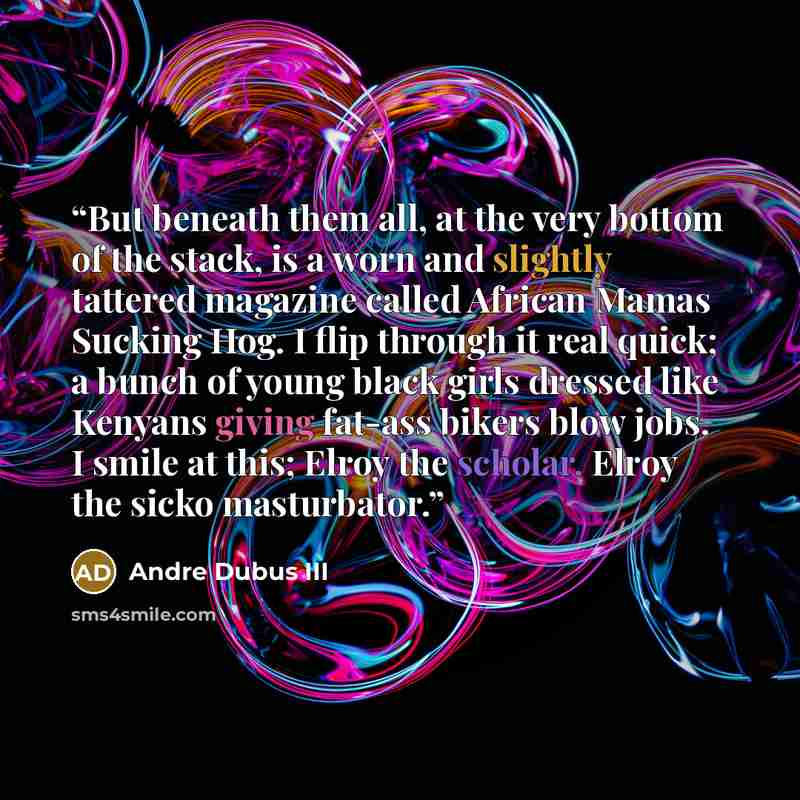 “But beneath them all, at the very bottom of the stack, is a worn and slightly tattered magazine called African Mamas Sucking Hog. I flip through it real quick; a bunch of young black girls dressed like Kenyans giving fat-ass bikers blow jobs. I smile at this; Elroy the scholar. Elroy the sicko…” quote by Andre Dubus III