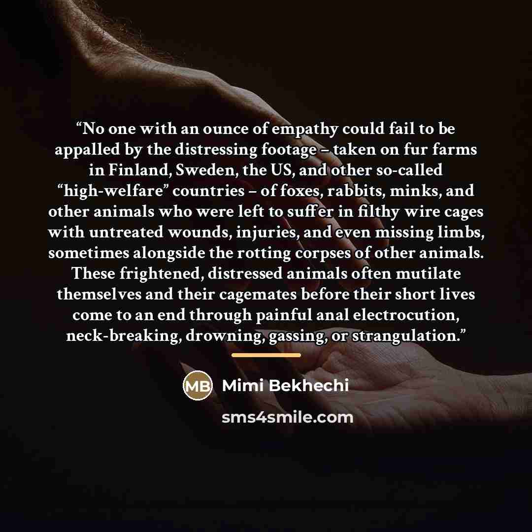 “No one with an ounce of empathy could fail to be appalled by the distressing footage – taken on fur farms in Finland, Sweden, the US, and other so-called “high-welfare” countries – of foxes, rabbits, minks, and other animals who were left to suffer in filthy wire cages with untreated wounds…” quote by Mimi Bekhechi