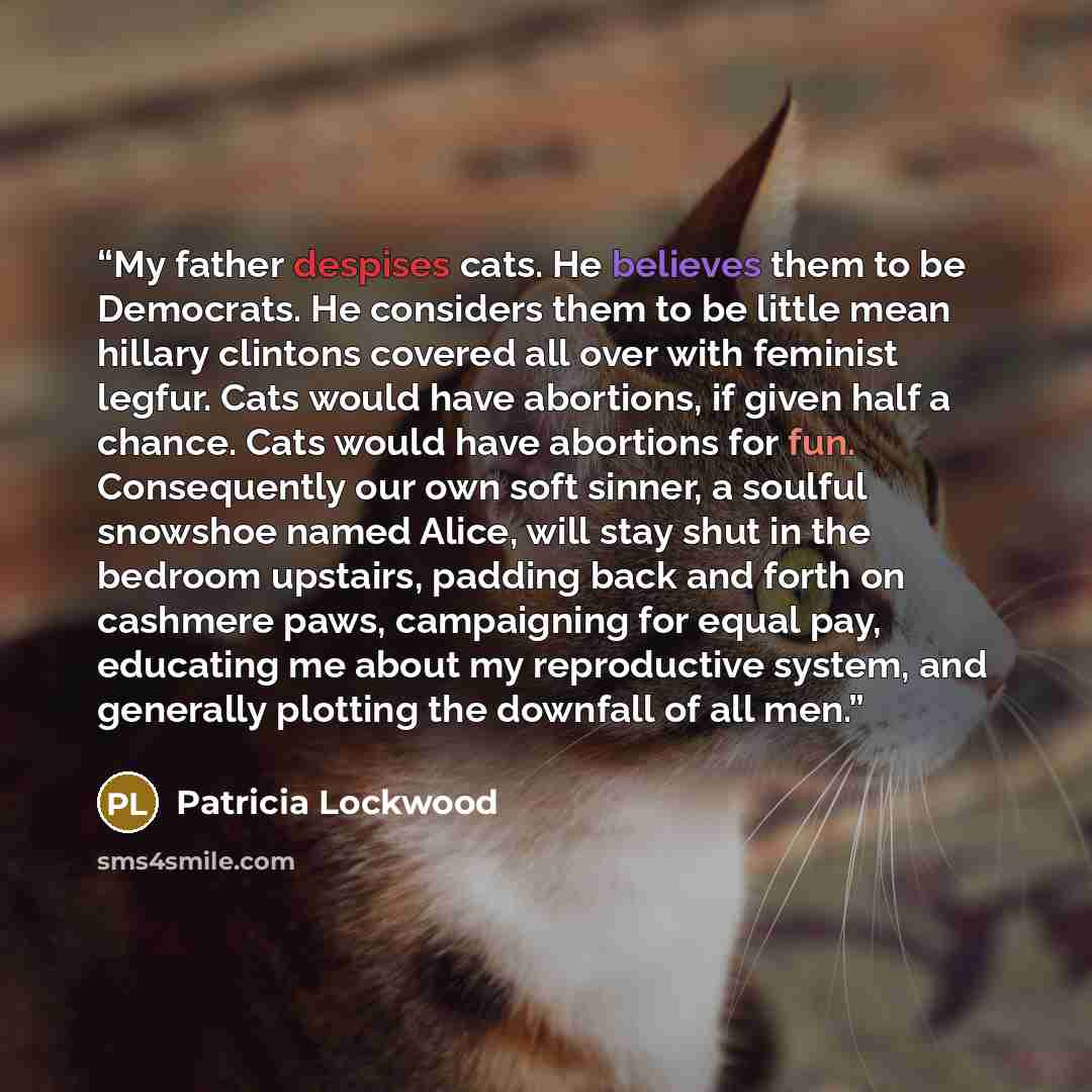“My father despises cats. He believes them to be Democrats. He considers them to be little mean hillary clintons covered all over with feminist legfur. Cats would have abortions, if given half a chance. Cats would have abortions for fun. Consequently our own soft sinner, a soulful snowshoe named…” quote by Patricia Lockwood