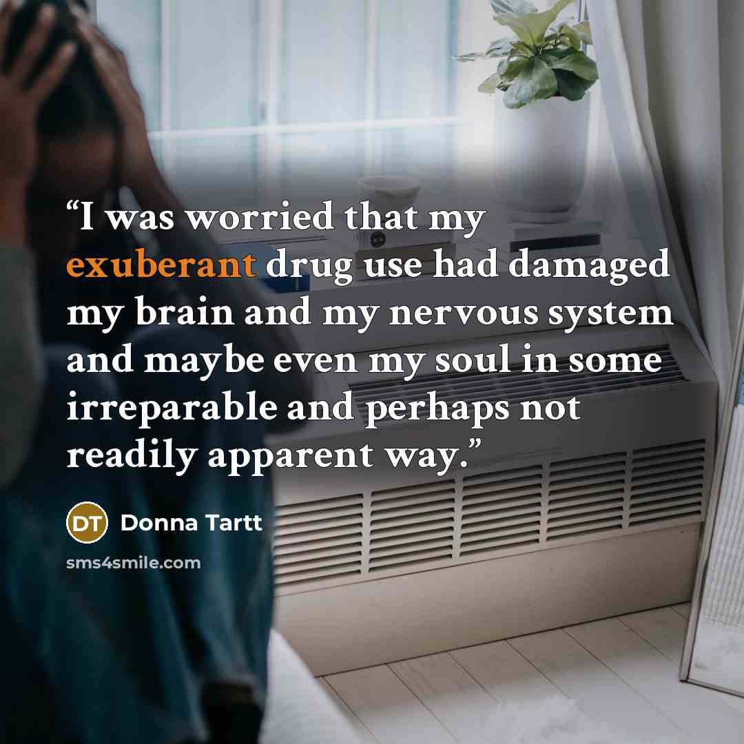 “I was worried that my exuberant drug use had damaged my brain and my nervous system and maybe even my soul in some irreparable and perhaps not readily apparent way.” quote by Donna Tartt
