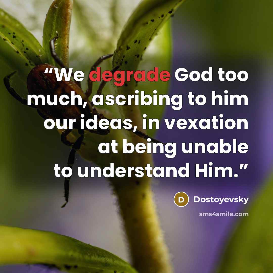 “We degrade God too much, ascribing to him our ideas, in vexation at being unable to understand Him.” quote by Dostoyevsky