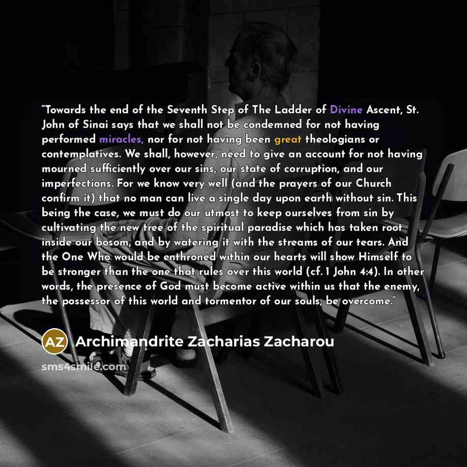 “Towards the end of the Seventh Step of The Ladder of Divine Ascent, St. John of Sinai says that we shall not be condemned for not having performed miracles, nor for not having been great theologians or contemplatives. We shall, however, need to give an account for not having mourned sufficiently…” quote by Archimandrite Zacharias Zacharou