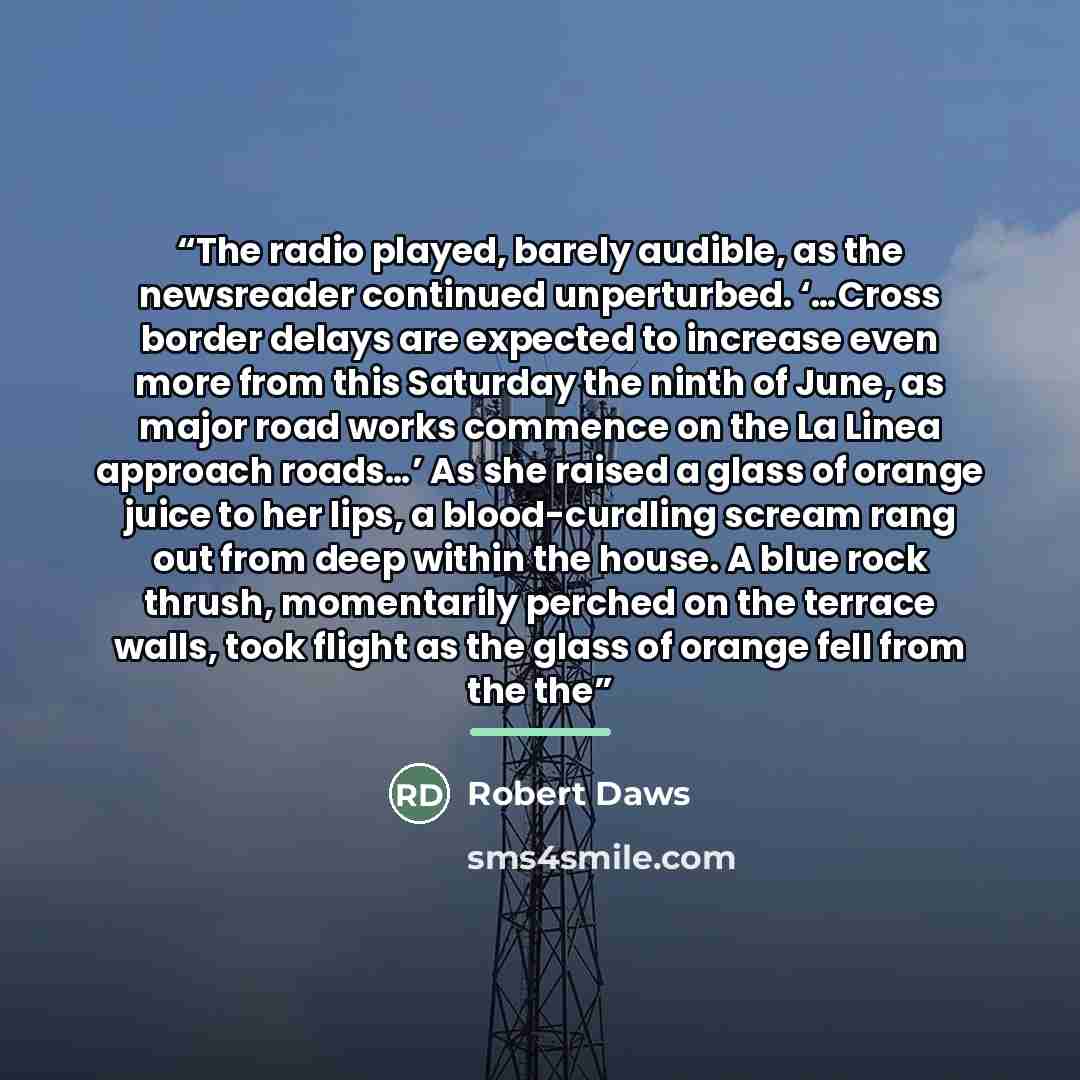 “The radio played, barely audible, as the newsreader continued unperturbed. ‘…Cross border delays are expected to increase even more from this Saturday the ninth of June, as major road works commence on the La Linea approach roads…’ As she raised a glass of orange juice to her lips, a…” quote by Robert Daws