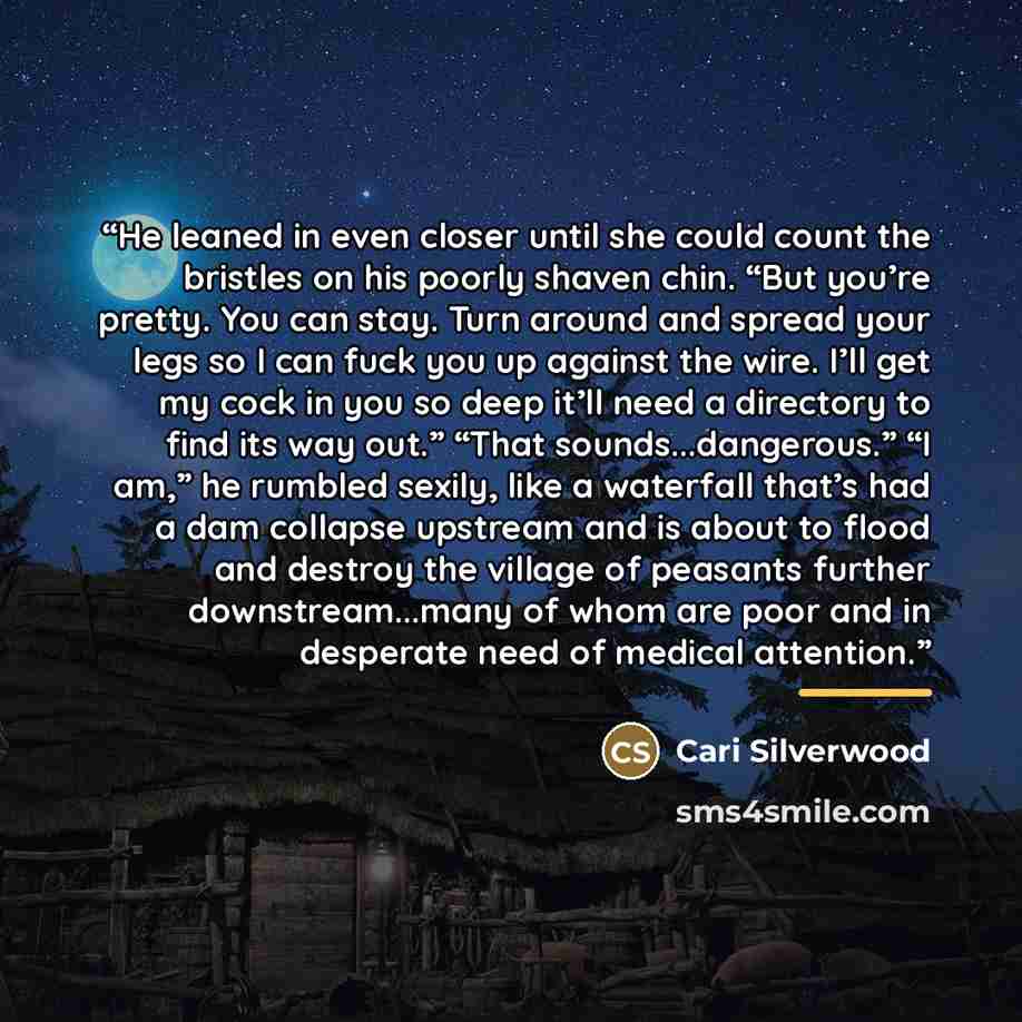 “He leaned in even closer until she could count the bristles on his poorly shaven chin. “But you’re pretty. You can stay. Turn around and spread your legs so I can fuck you up against the wire. I’ll get my cock in you so deep it’ll need a directory to find its way out.” “That sounds...dangerous.”…” quote by Cari Silverwood
