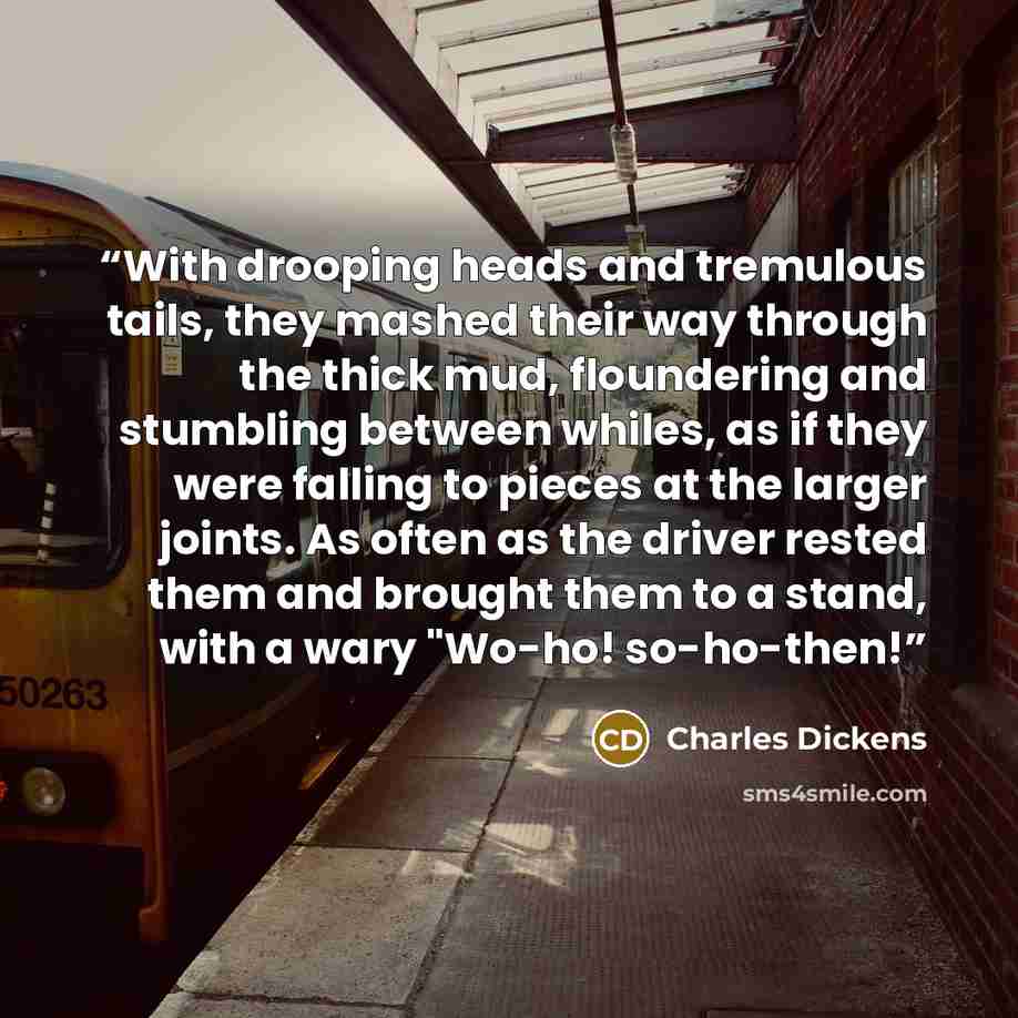 “With drooping heads and tremulous tails, they mashed their way through the thick mud, floundering and stumbling between whiles, as if they were falling to pieces at the larger joints. As often as the driver rested them and brought them to a stand, with a wary "Wo-ho! so-ho-then!” quote by Charles Dickens