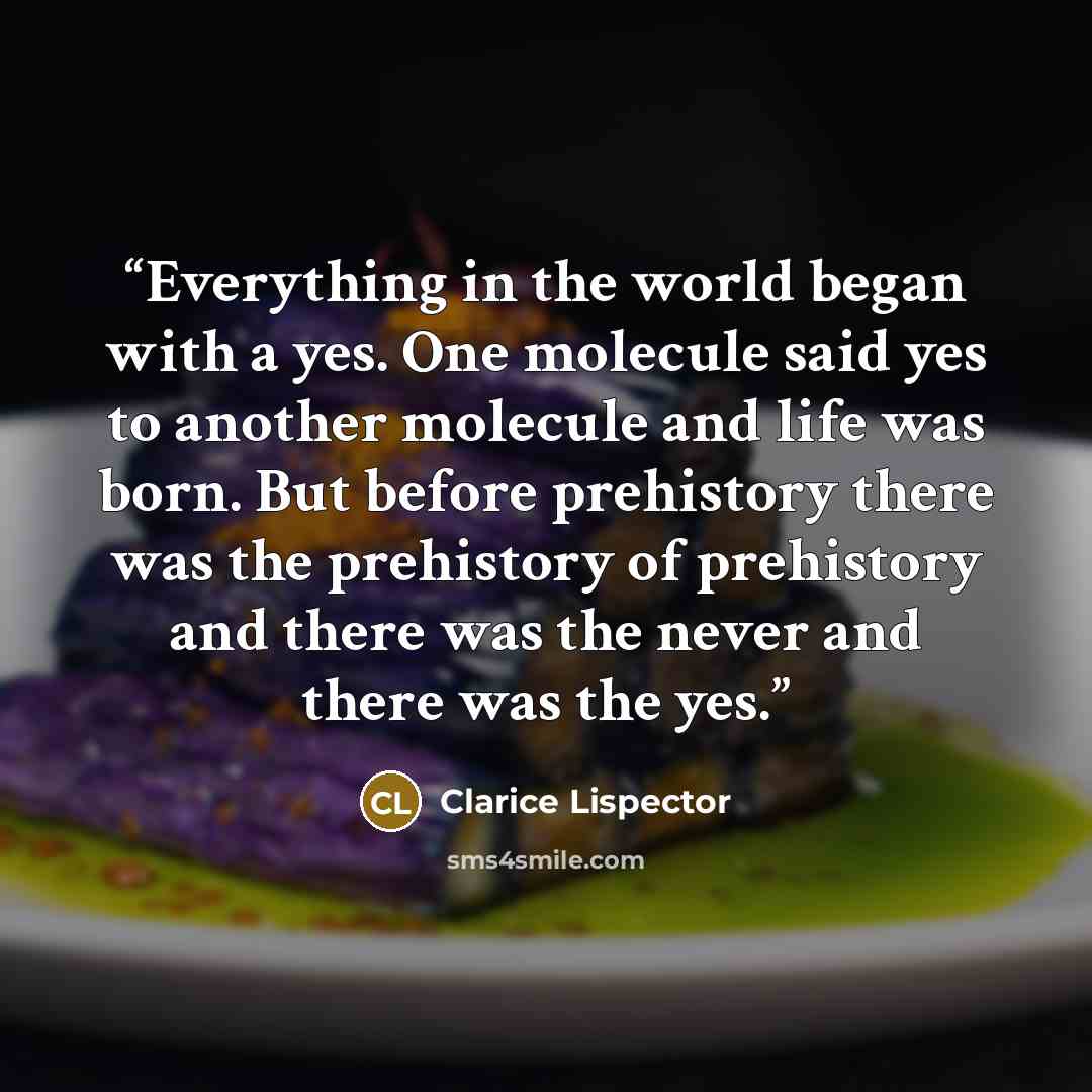 “Everything in the world began with a yes. One molecule said yes to another molecule and life was born. But before prehistory there was the prehistory of prehistory and there was the never and there was the yes.” quote by Clarice Lispector