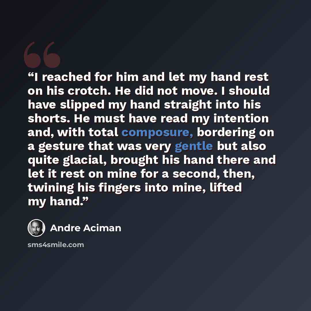 “I reached for him and let my hand rest on his crotch. He did not move. I should have slipped my hand straight into his shorts. He must have read my intention and, with total composure, bordering on a gesture that was very gentle but also quite glacial, brought his hand there and let it rest on…” quote by André Aciman