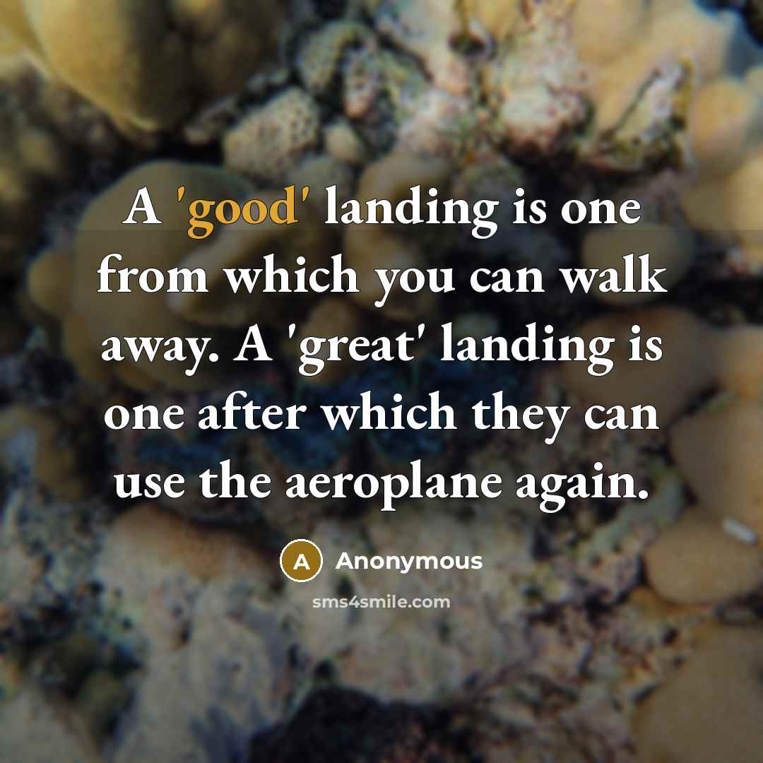 “A 'good' landing is one from which you can walk away. A 'great' landing is one after which they can use the aeroplane again.” quote by Anonymous
