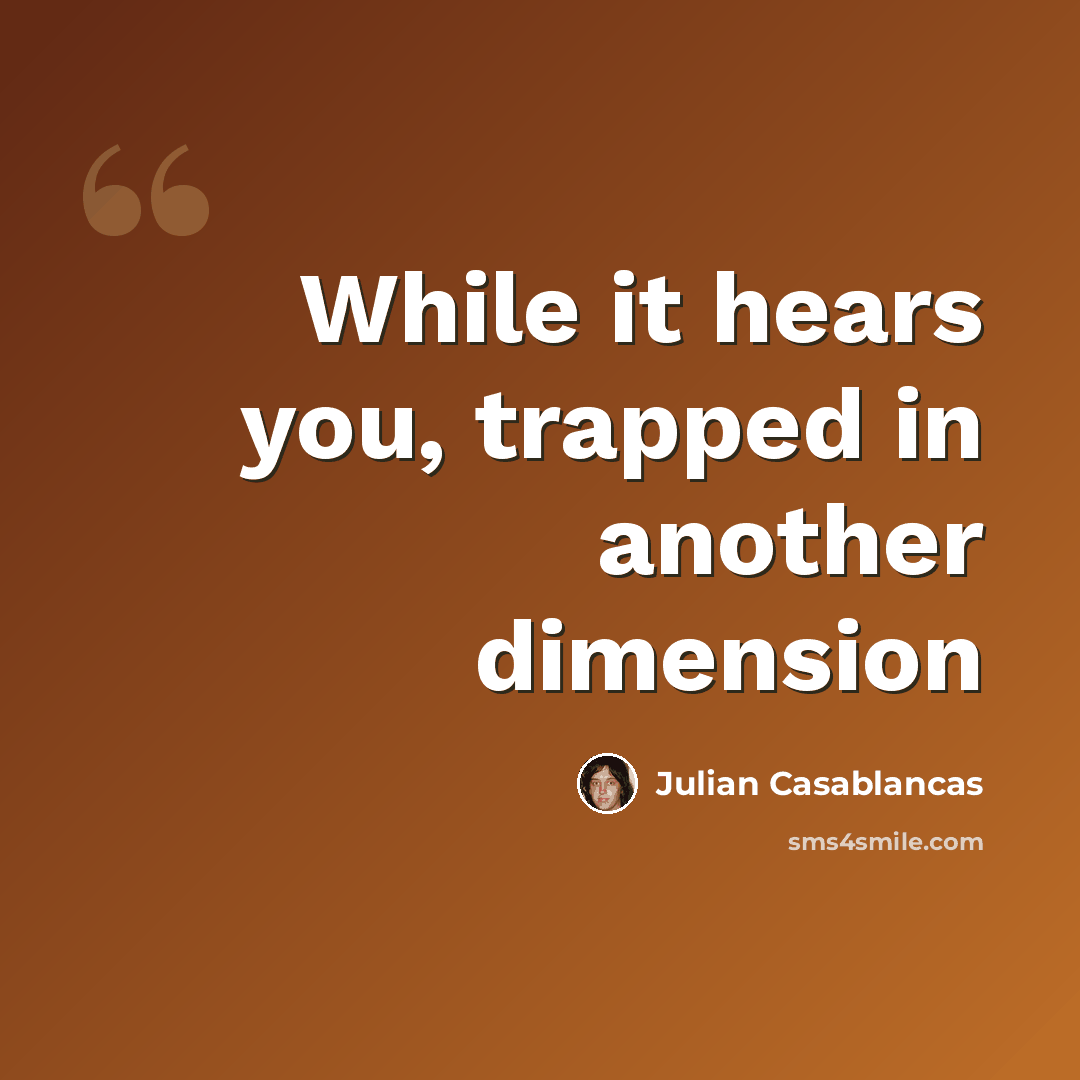“While it hears you, trapped in another dimension” quote by Julian Casablancas