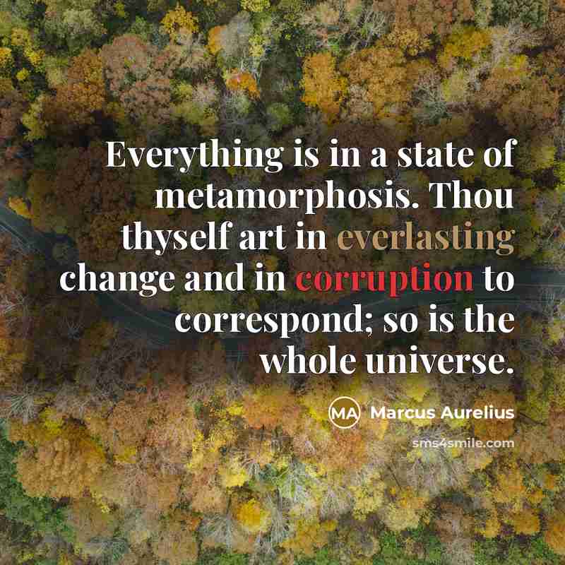 “Everything is in a state of metamorphosis. Thou thyself art in everlasting change and in corruption to correspond; so is the whole universe.” quote by Marcus Aurelius