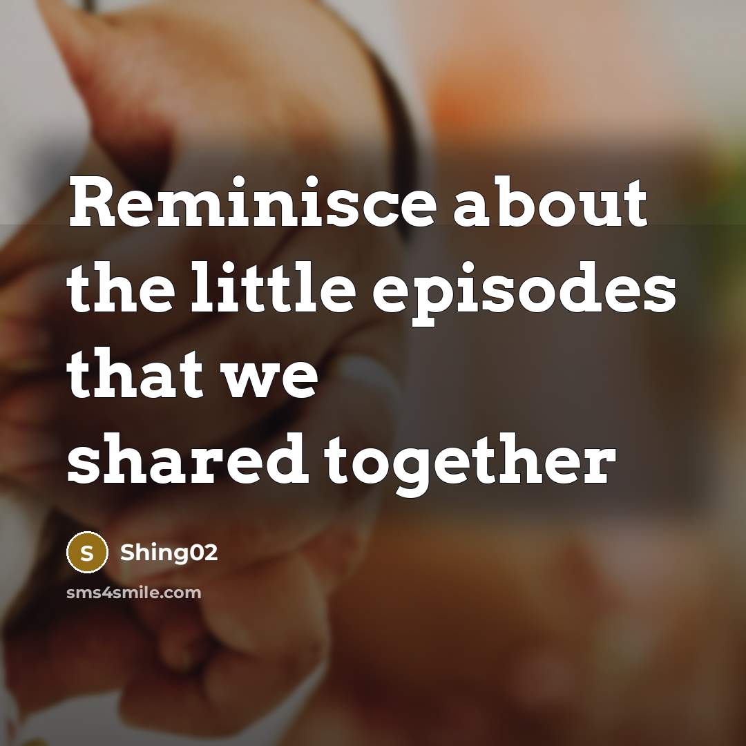 “Reminisce about the little episodes that we shared together” quote by Shing02