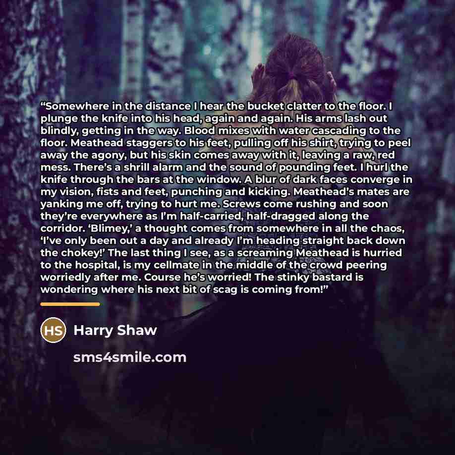 “Somewhere in the distance I hear the bucket clatter to the floor. I plunge the knife into his head, again and again. His arms lash out blindly, getting in the way. Blood mixes with water cascading to the floor. Meathead staggers to his feet, pulling off his shirt, trying to peel away the agony…” quote by Harry Shaw