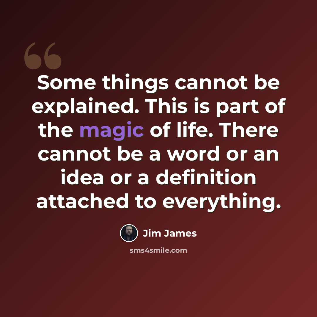 “Some things cannot be explained. This is part of the magic of life. There cannot be a word or an idea or a definition attached to everything.” quote by Jim James