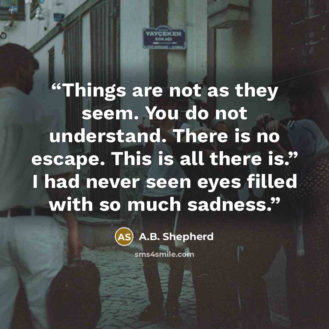 “Things are not as they seem. You do not understand. There is no escape. This is all there is.” I had never seen eyes filled with so much sadness.” quote by A.B. Shepherd