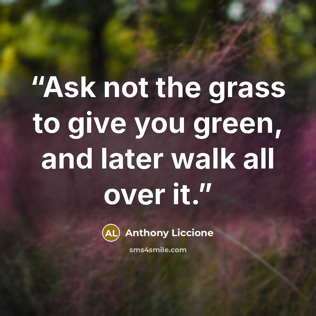 “Ask not the grass to give you green, and later walk all over it.” quote by Anthony Liccione