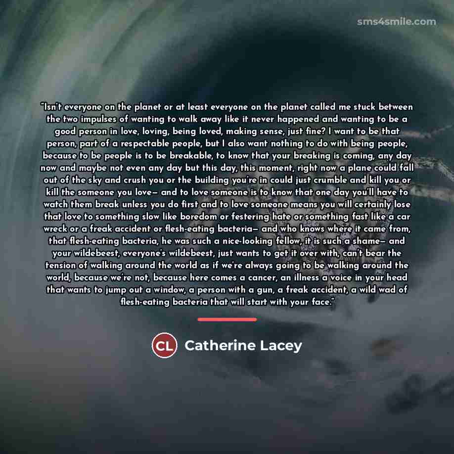 “Isn’t everyone on the planet or at least everyone on the planet called me stuck between the two impulses of wanting to walk away like it never happened and wanting to be a good person in love, loving, being loved, making sense, just fine? I want to be that person, part of a respectable people, but…” quote by Catherine Lacey