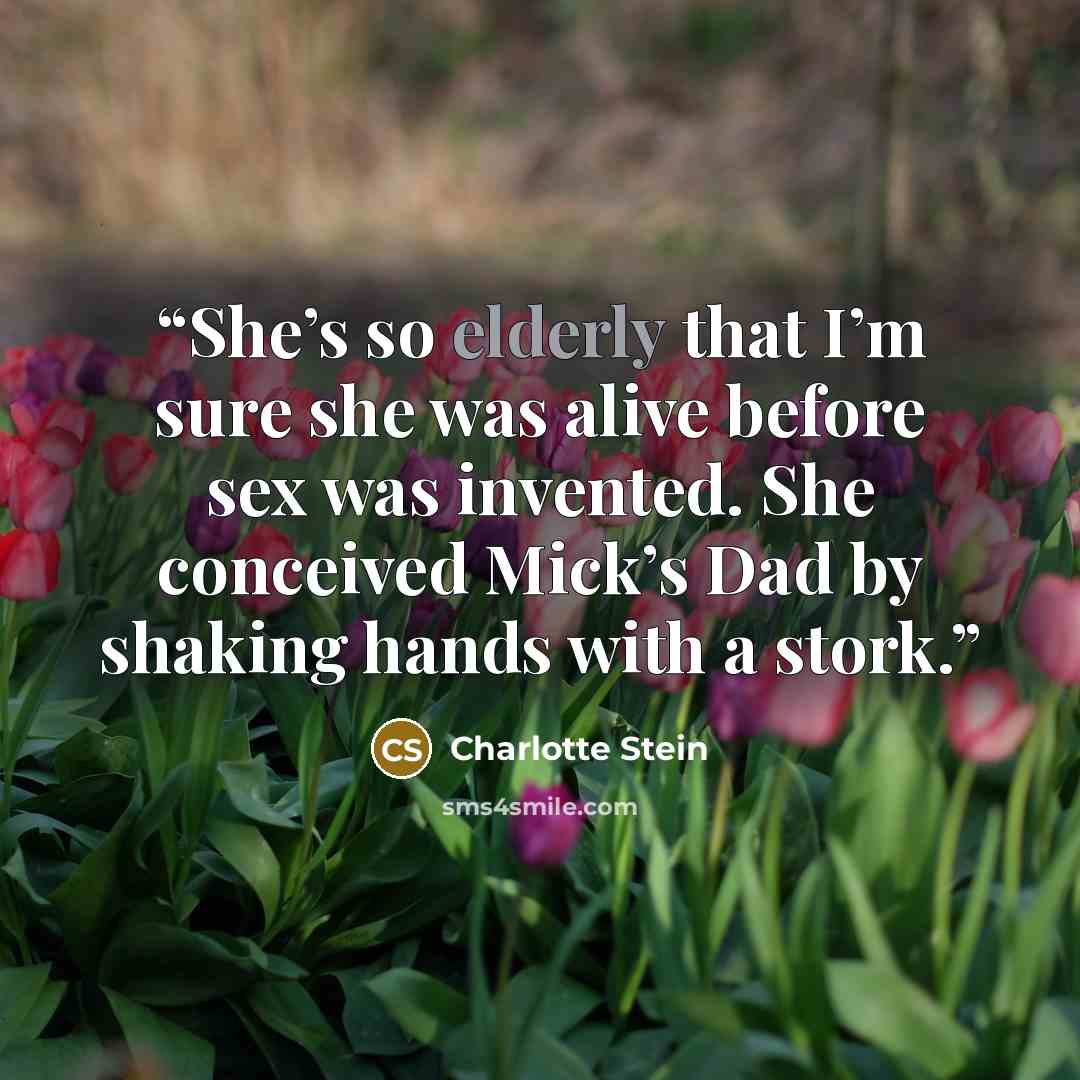 “She’s so elderly that I’m sure she was alive before sex was invented. She conceived Mick’s Dad by shaking hands with a stork.” quote by Charlotte Stein