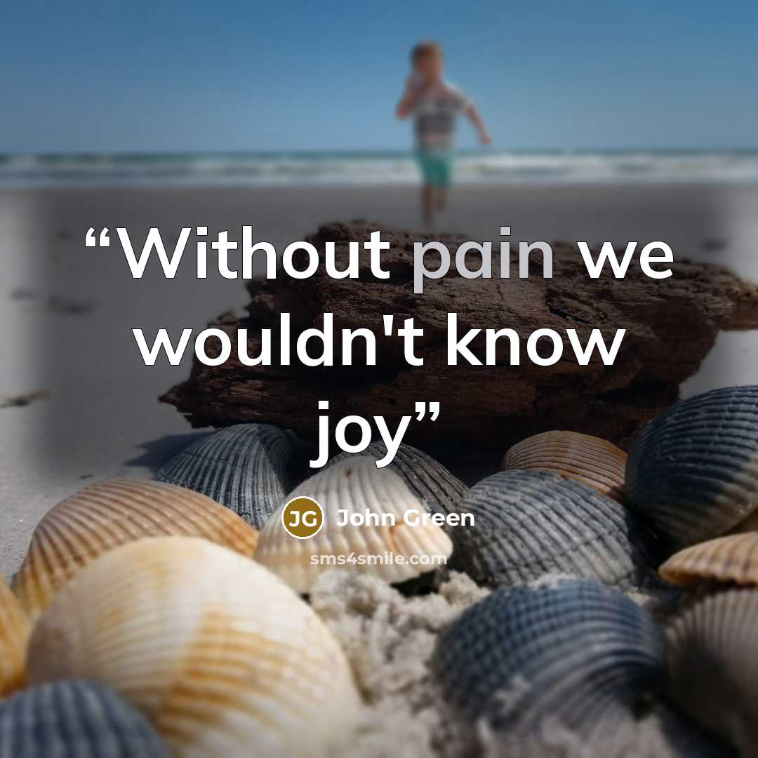 “Without pain we wouldn't know joy” quote by John Green