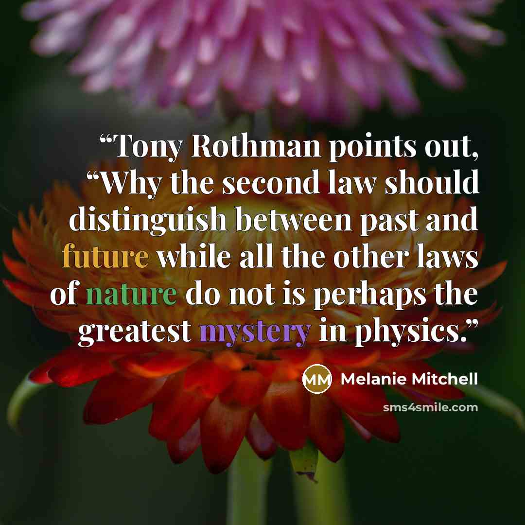 “Tony Rothman points out, “Why the second law should distinguish between past and future while all the other laws of nature do not is perhaps the greatest mystery in physics.” quote by Melanie Mitchell