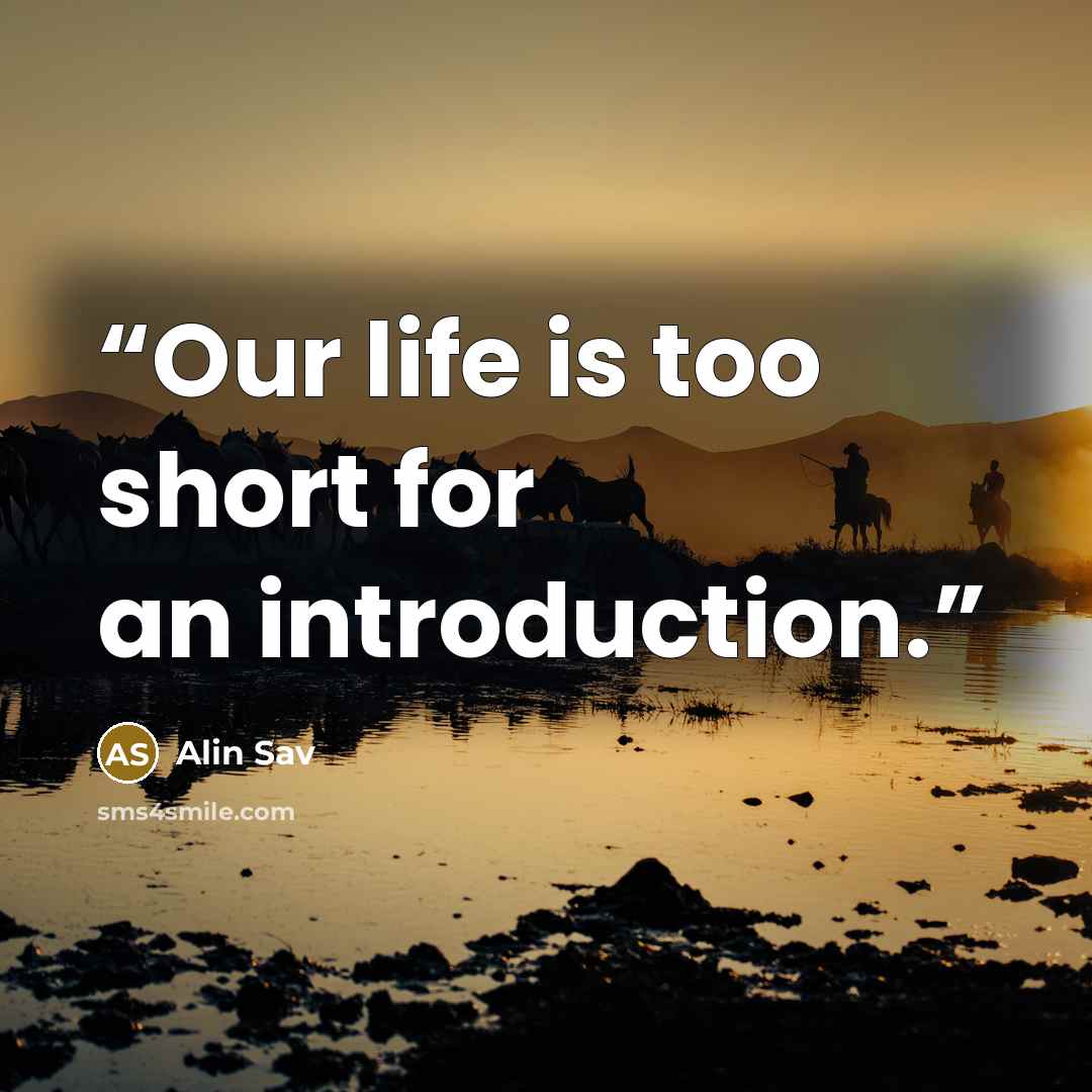 “Our life is too short for an introduction.” quote by Alin Sav