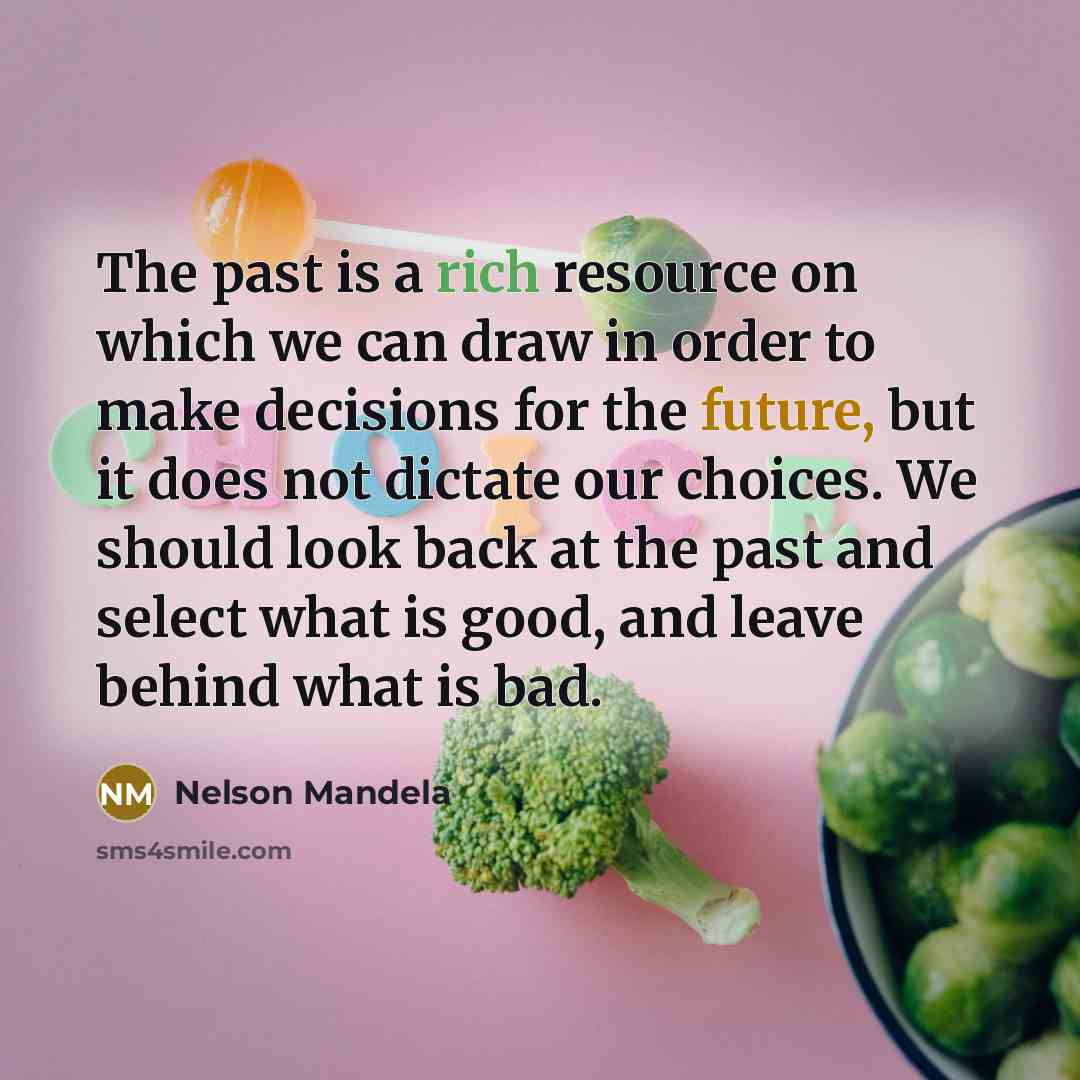 “The past is a rich resource on which we can draw in order to make decisions for the future, but it does not dictate our choices. We should look back at the past and select what is good, and leave behind what is bad.” quote by Nelson Mandela