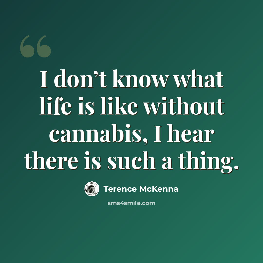 “I don’t know what life is like without cannabis, I hear there is such a thing.” quote by Terence McKenna